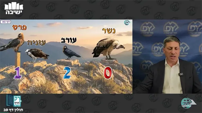 חולין דף ס"ב