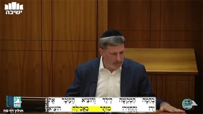 חולין דף ס"ח
