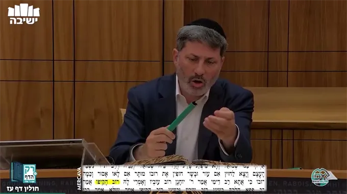חולין דף ע"ז