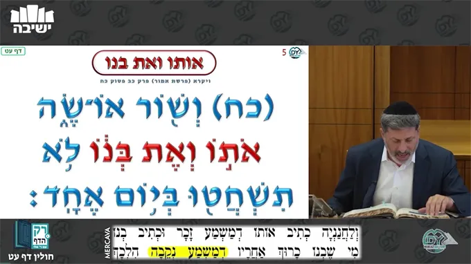 חולין דף ע"ט