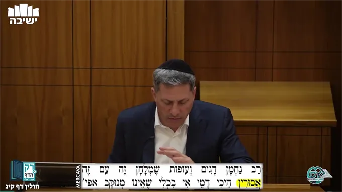 חולין דף קי"ג