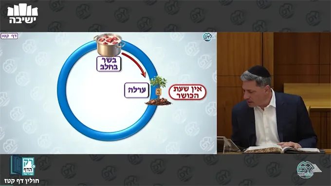חולין דף קט"ז