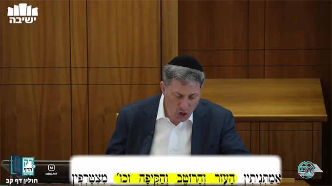 חולין דף קכ"א