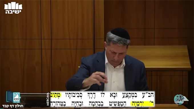 חולין דף קכ"ד