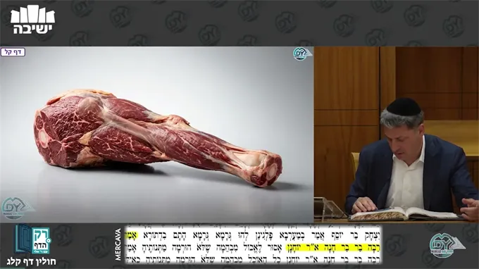 חולין דף קל"ג