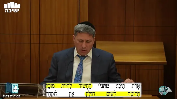 בכורות דף ל'