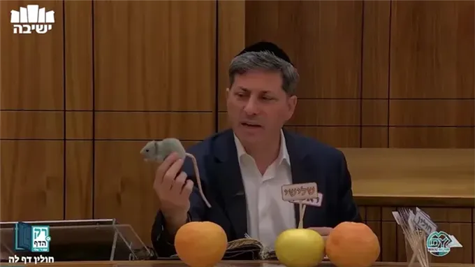 חולין דף ל"ה
