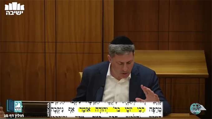 חולין דף מ"ג
