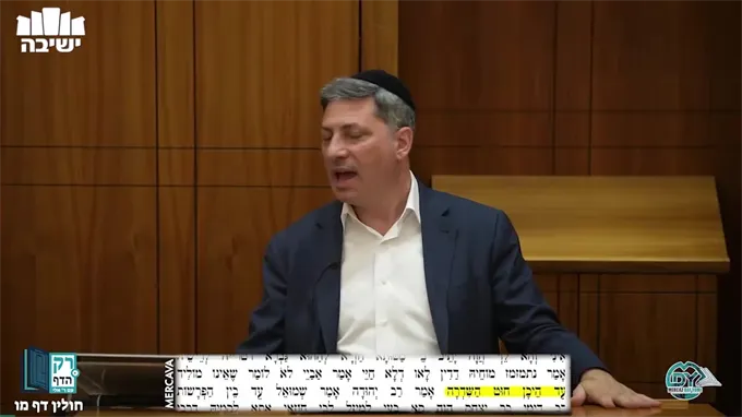 חולין דף מ"ו