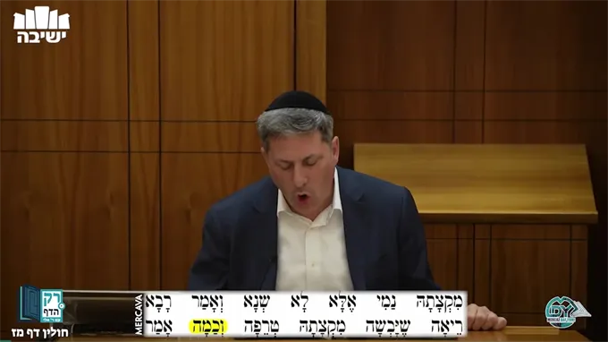 חולין דף מ"ז
