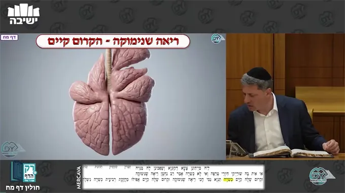 חולין דף מ"ח