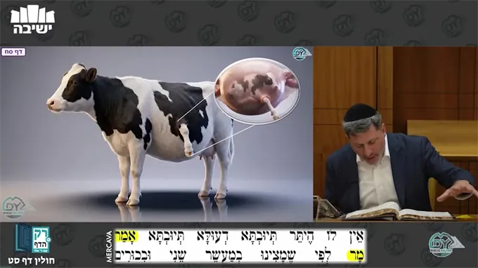 חולין דף ס"ט