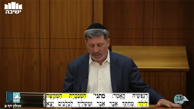 חולין דף ע'
