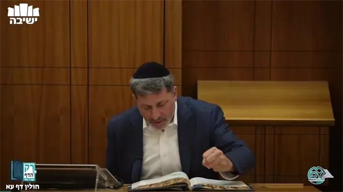 חולין דף ע"א