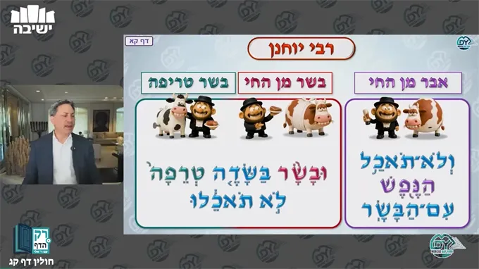 חולין דף ק"ג