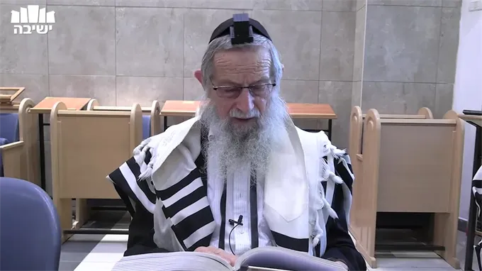 הצורה התמציתית