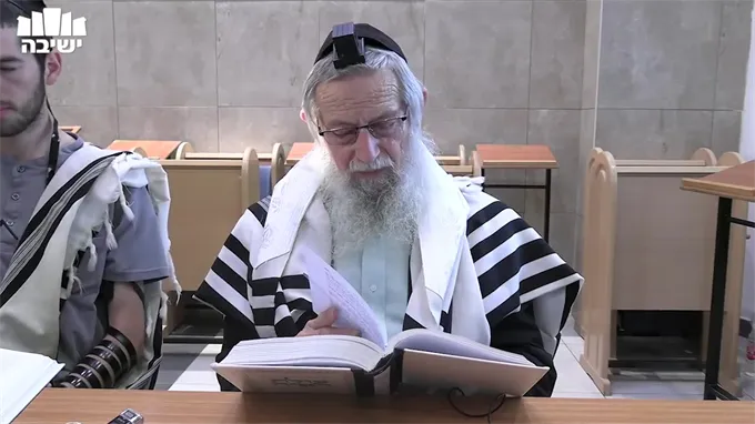הצורה התמציתית