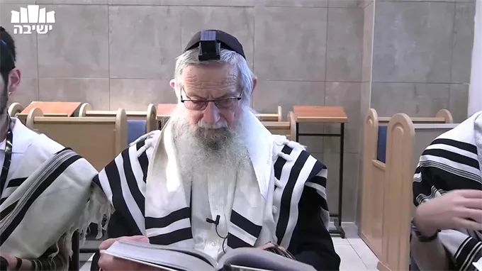 הצורה התמציתית