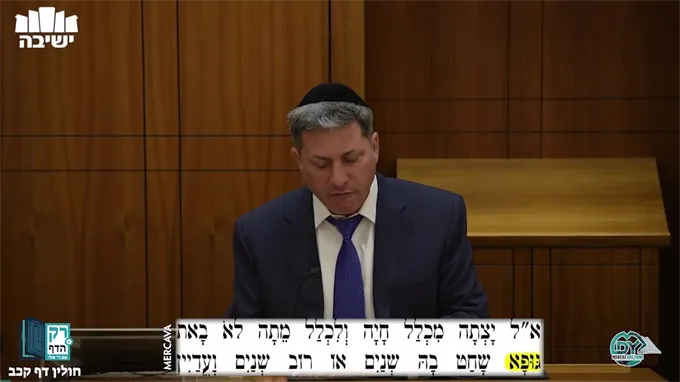 חולין דף קכ"ב