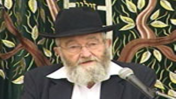 מלחמת נקמה