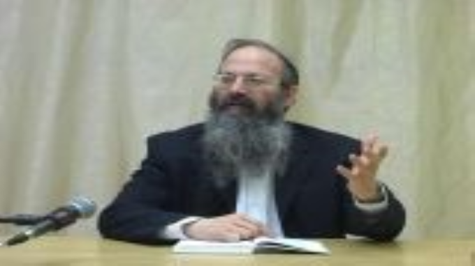 בכור בהמה