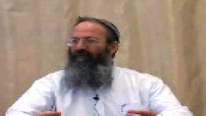 מיני מזונות בתוך סעודת פת