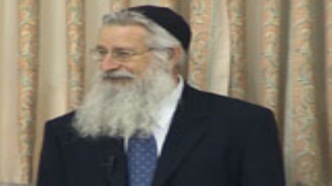 מהות השמיטה 