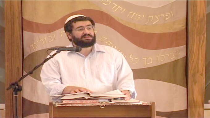 כלאי האילן