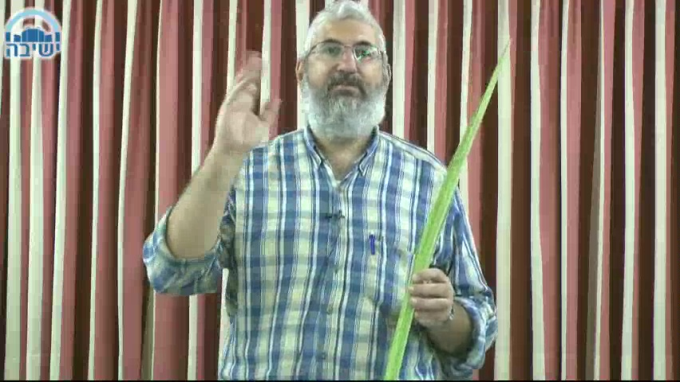 דיני הלולב - שיעור מעשי