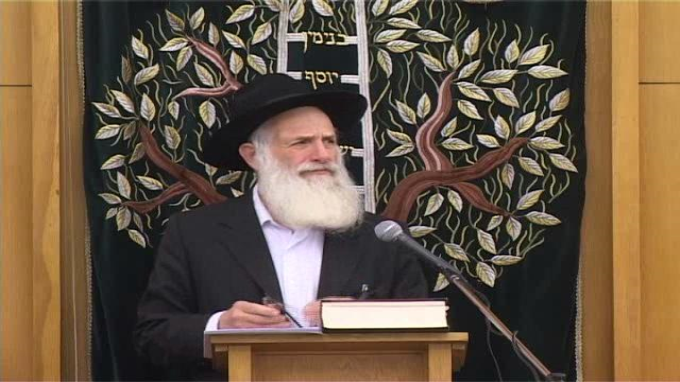 שיטות רש"י ותוס' בדין משצל"ג