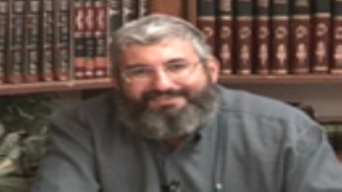 העצלות הנמלה והחכמה