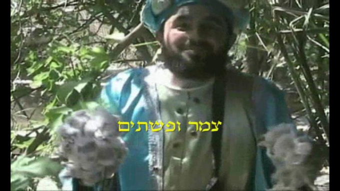 צמר וקינמון, נחש ואזוב