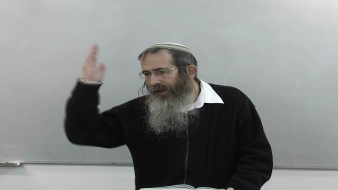 "נויו של אילן"