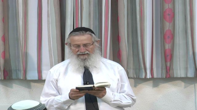 נח והברית, דור הפלגה והאחדות הנכונה