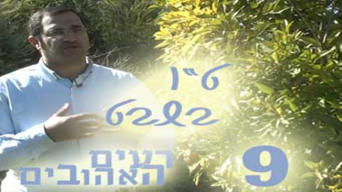 זוגיות צומחת 