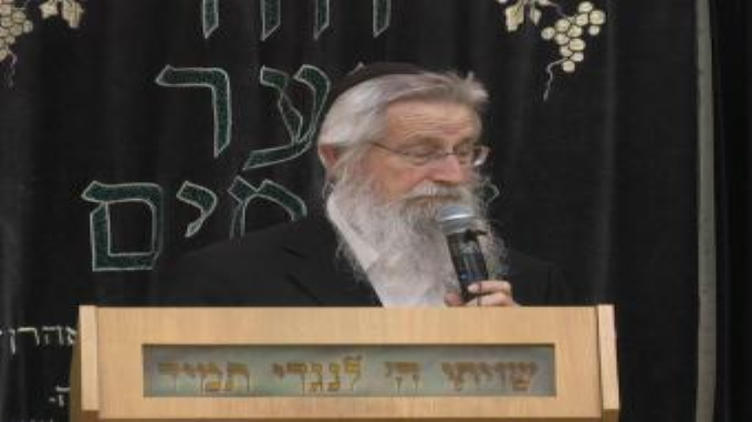 מרביץ תורה ברבים