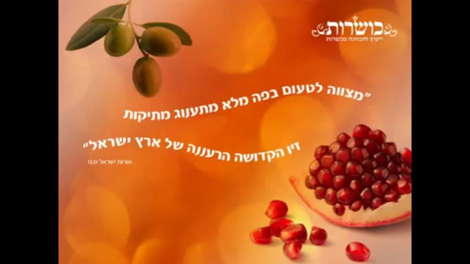 בדיקת פירות טו בשבט