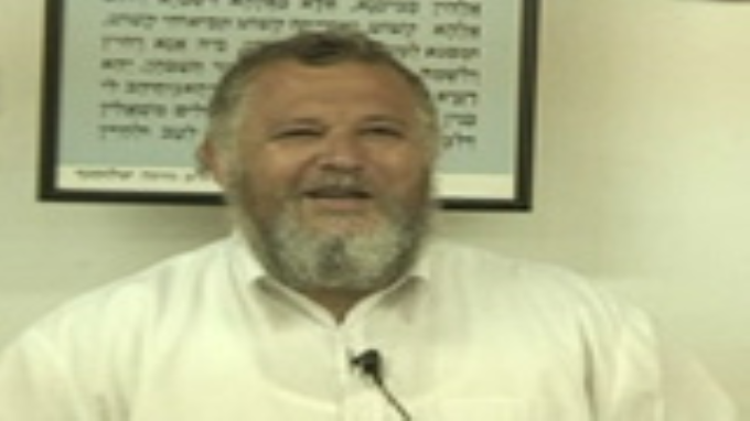 החקלאי בשנת השמיטה