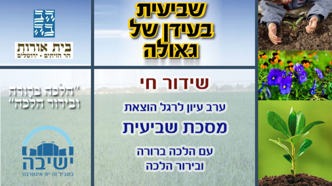 שידור חוזר שביעית בעידן של גאולה