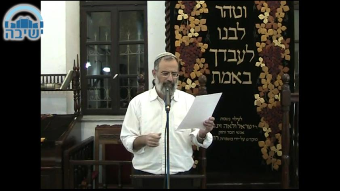 צפרדע אחת 