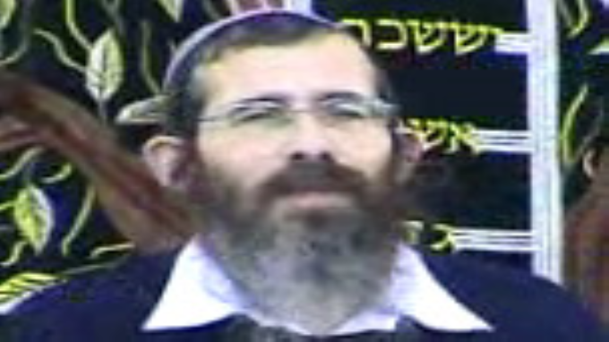 תפיסה אורגנית שורשית