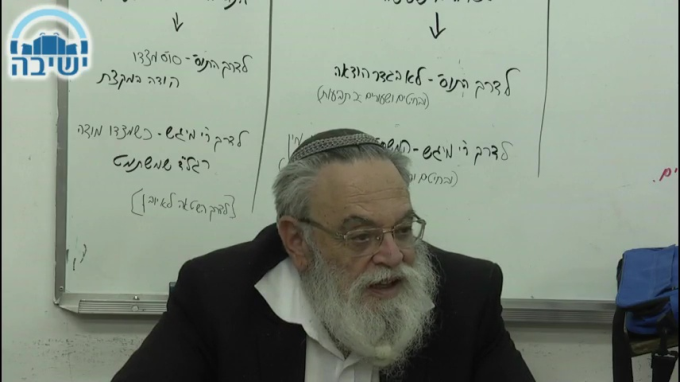 טעם העץ כטעם הפרי