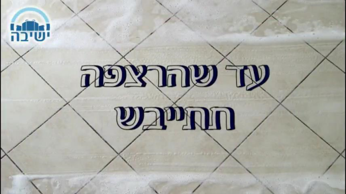 עד שהרצפה תתייבש - פרשת במדבר - שבועות