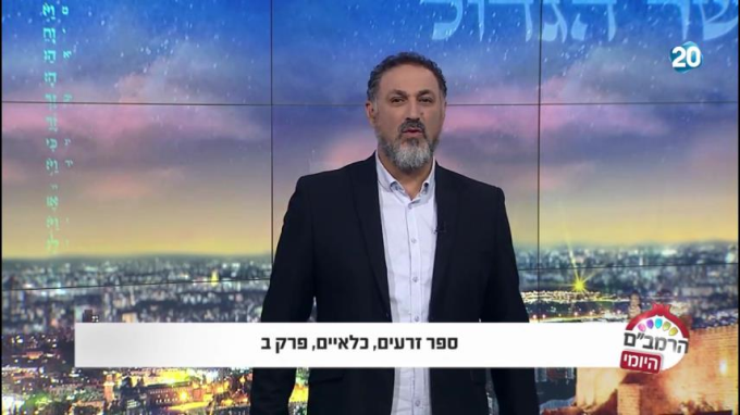 ספר זרעים הלכות כלאים ב'
