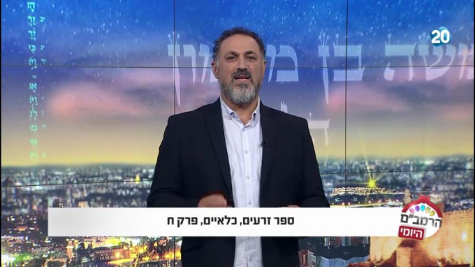 ספר זרעים הלכות כלאים ח'