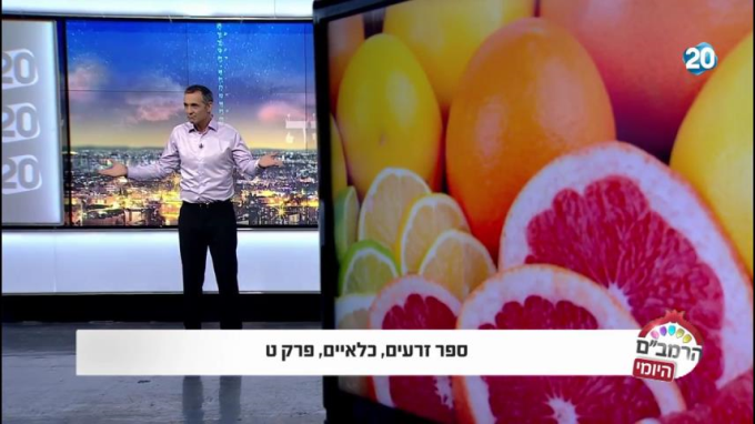 ספר זרעים הלכות כלאים ט'