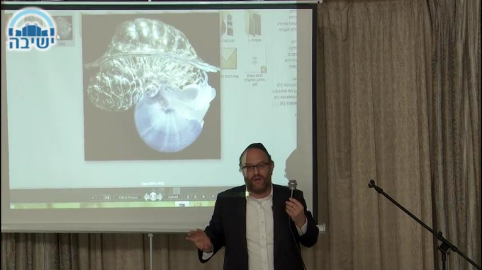 סקירה הסטורית על התכלת