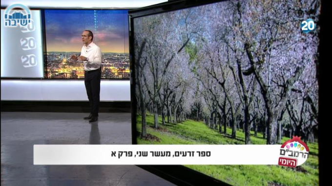 ספר זרעים הלכות מעשר שני פרק א'