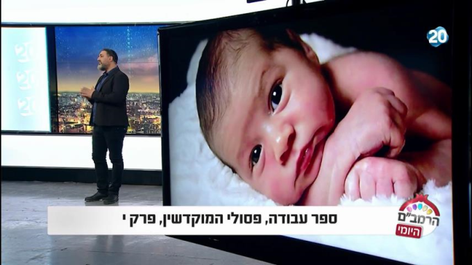 ספר עבודה הלכות פסולי המוקדשין פרק י'
