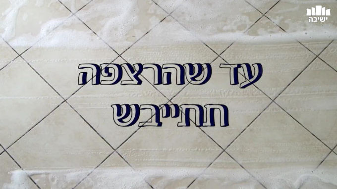 עד שהרצפה תתייבש - פרשת שמיני